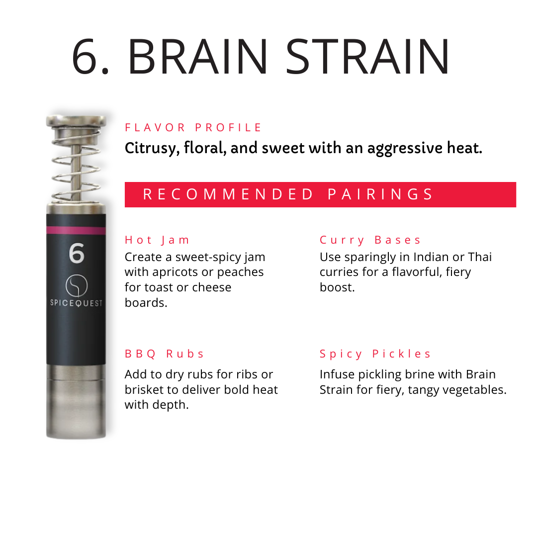 no. 6 — Brain Strain