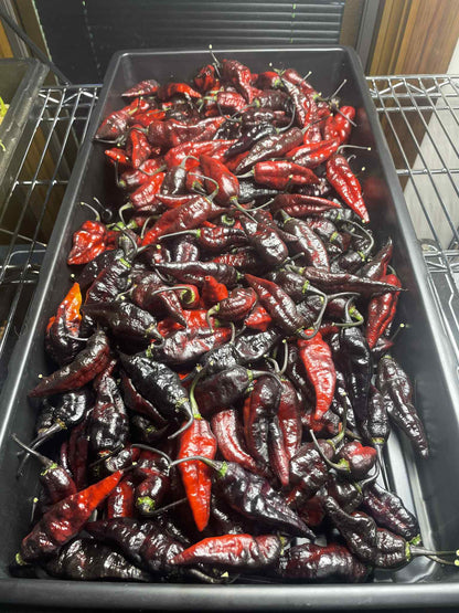 Limited Edition: Blood Ghost (Seasonal Drop)