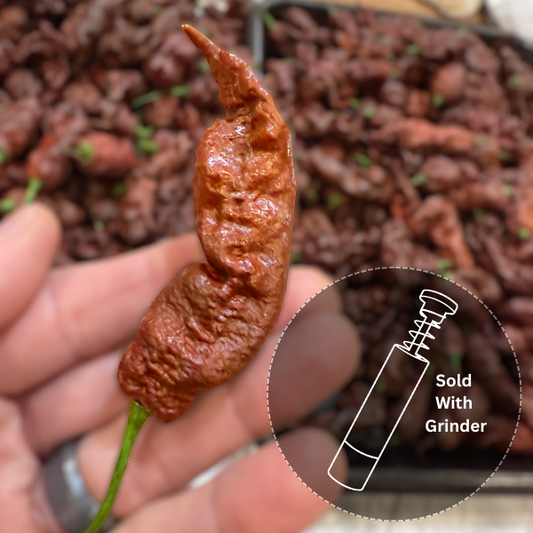 Chocolate Primotalii