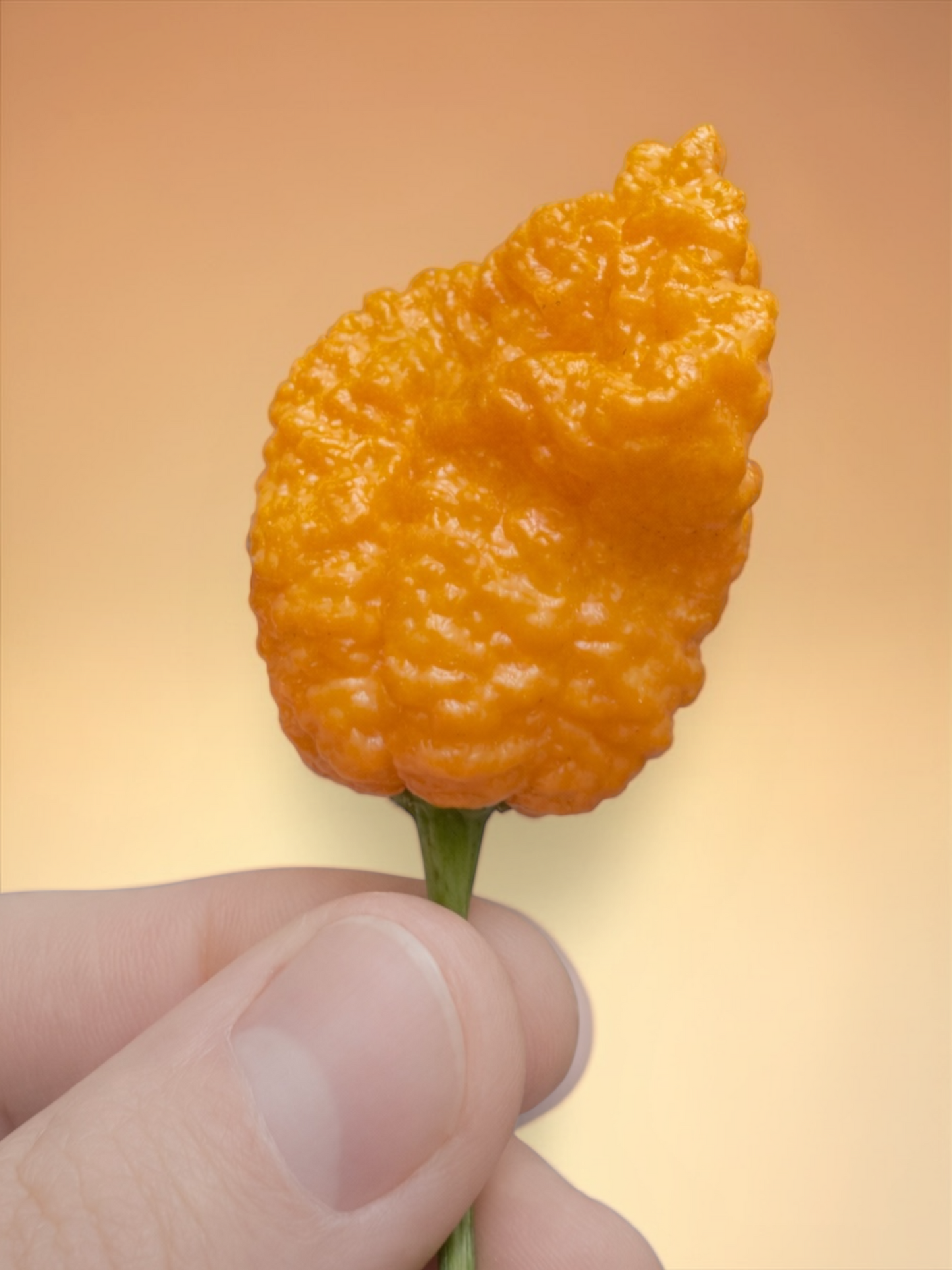 Limited Edition: Fried Chicken