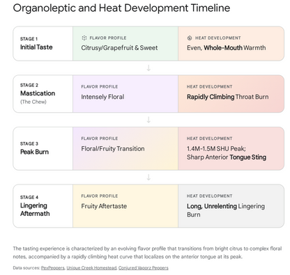 Limited Edition: Fried Chicken