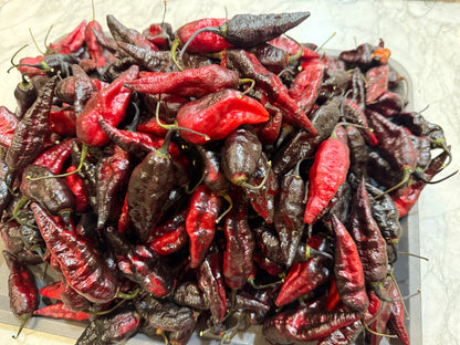 Limited Edition: Blood Ghost (Seasonal Drop)