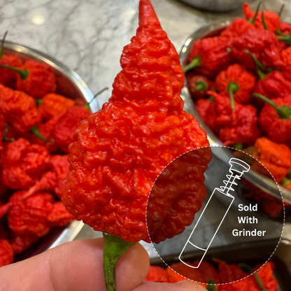 Limited Edition: RB003 (2025 Harvest)