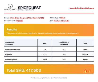 White Ghost Scorpion (New Release!)